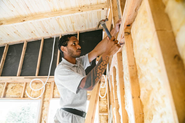 Best Wall Insulation Contractor  in Corpus Christi, TX