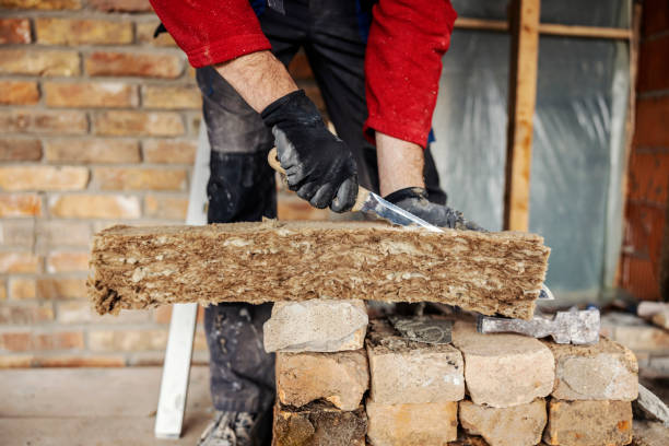 Best Local Insulation Services  in Corpus Christi, TX